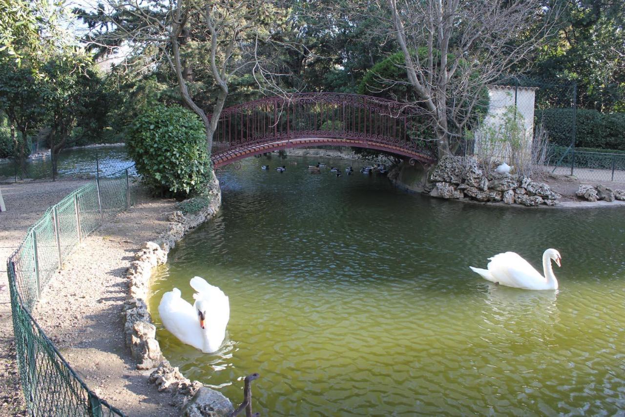 La Maison Du Canal - Canal Studio オンプス エクステリア 写真